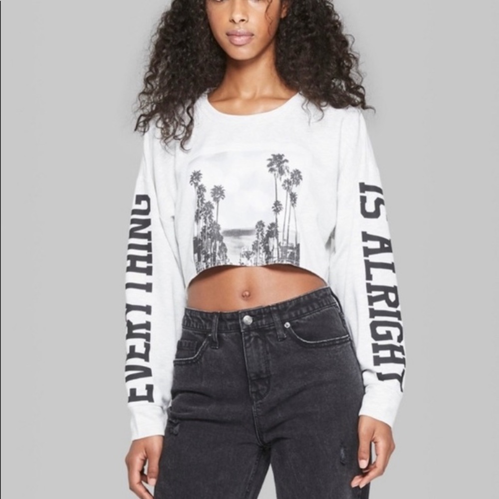 Cropped Graphic Pullover by Wild Fable